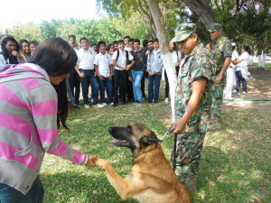 Región Naval 9 Feb