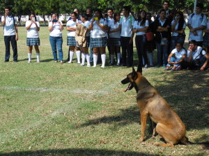 Región Naval 23 Feb 15